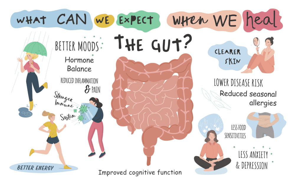 Gut health 